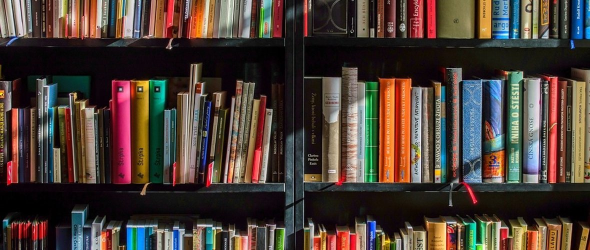 books-1204029_960_720.jpg