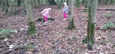 Kita_Kinder_Wald.jpg